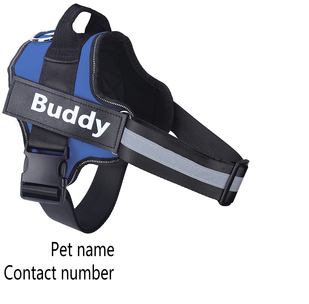 Personalized Dog Harness Vest