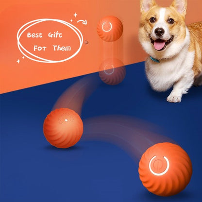 Pet Dog Rubber Ball Toys For Dogs Resistance To Bite Dog Chew Toys